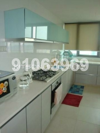 Pavilion 11 (D11), Condominium #10217462